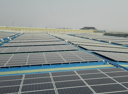 5.5MW project of Shangyu sun stock plant